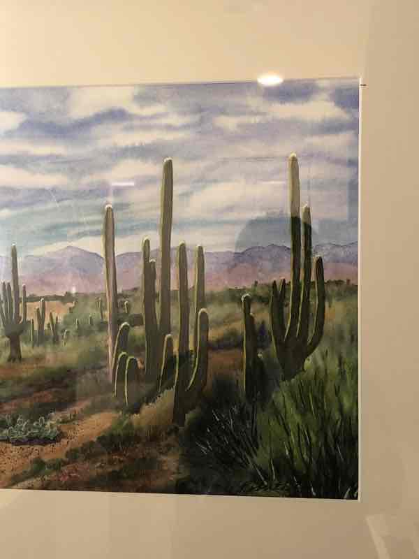 Saguaro Cactus Roberta Parry